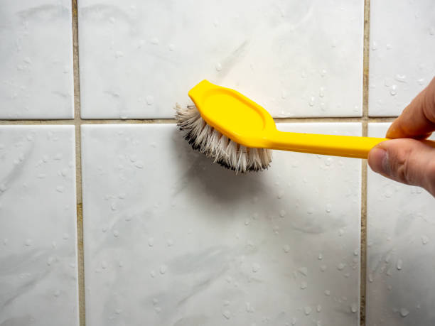 Best Black Mold Removal  in Newburyport, MA