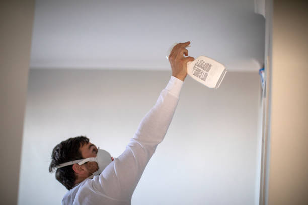 Best Attic Mold Removal  in Newburyport, MA